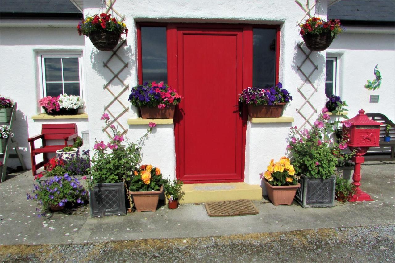 Breacan Cottage B&B 金瓦拉 外观 照片